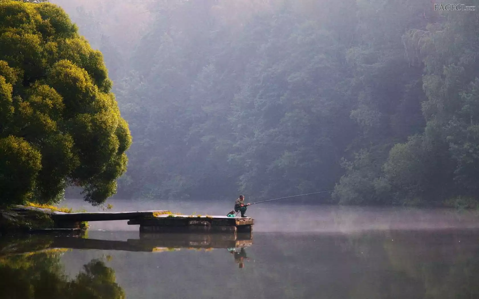 Wędkarz, Las, Rzeka